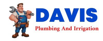 Trusted plumber in COGSWELL